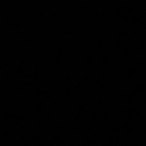 Meet your Posher, Zach